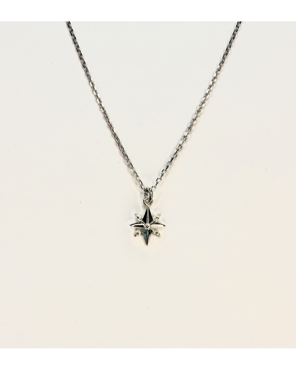 Kuzey Yıldızı Kolye